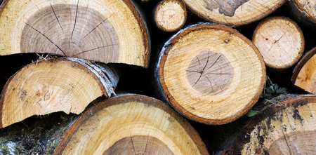 Pile of wood logs ready for winter close-up texture