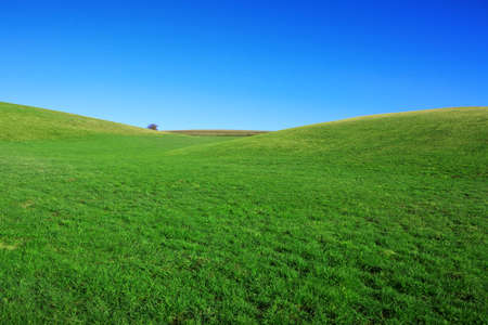Spring landscape background with blue sky and green grass field.の写真素材
