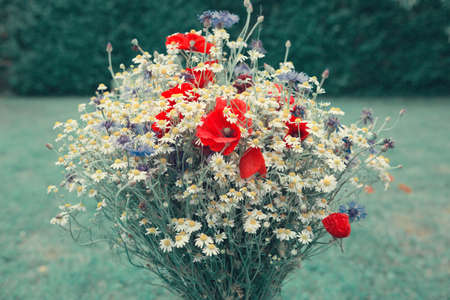 Wild flowers bouquet with daisies and cornflowers.の写真素材