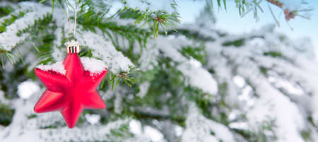 Red star on snow covered pine branch .Christmas background.の写真素材