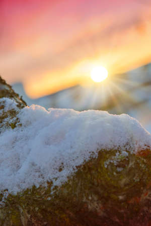 Winter Sun shines in tree branches with a lens flare .