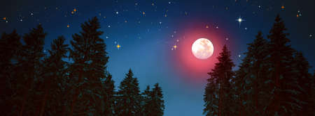 Christmas sky background with full moon and winter trees.