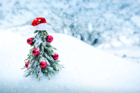 Christmas background with red Santa hat and fir tree on white snow.の写真素材