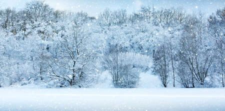 Winter landscape with snow covered trees .Christmas background.