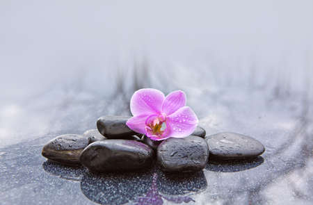 Spa stones and pink orchid flowers on gray background.の写真素材