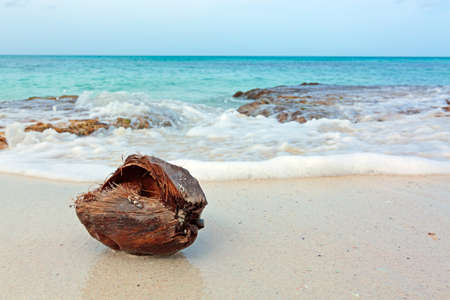 Coconut at the caribbean beach. Travel background.の写真素材