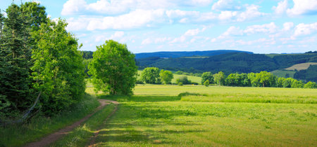 Road with green field and blue sky .の写真素材