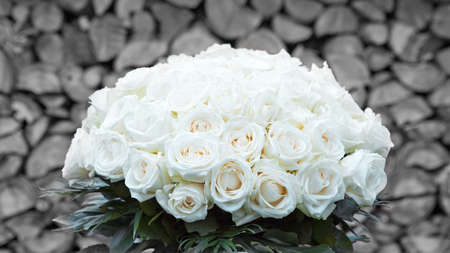 Bouquet of white roses isolated on grey background.の写真素材