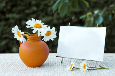 Blank signboard at outdoor with copy space for text and daisies in a watering canの写真素材