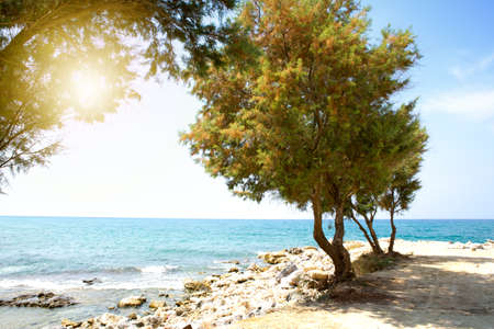 Blue sea with green trees on the beach in Greeceの写真素材