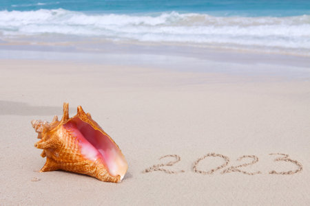 New Year 2023 is coming concept on tropical beach with seashell