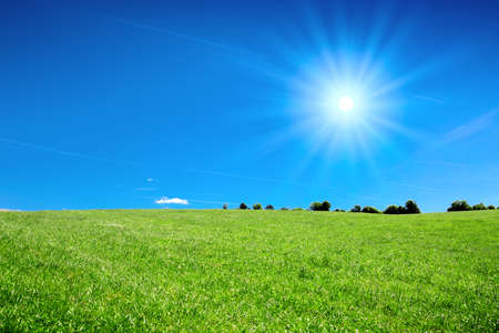 A field in the summer against the background of sunlight sky.の写真素材