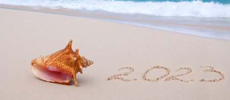 New Year 2023 is coming concept on tropical beach with seashellの写真素材