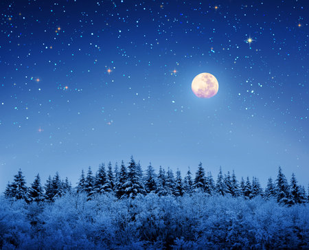 Christmas background with stars and big moon in winter forest.の写真素材