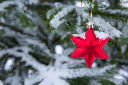 Red star on snow covered pine branch .Christmas background.の写真素材
