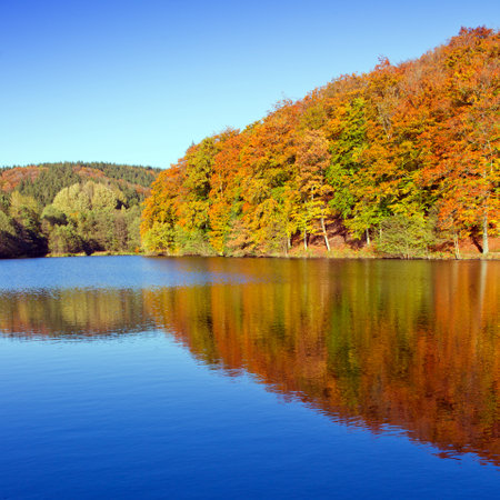 Autumn background with reflection colorful trees in the forest lake.の写真素材