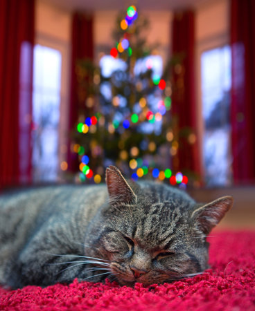 Christmas background with lying gray cat near the Christmas tree.の写真素材