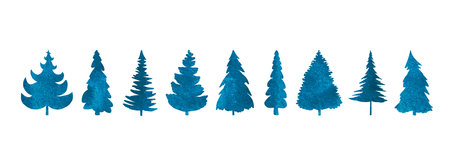 Blue fir trees isolated on white background .の写真素材