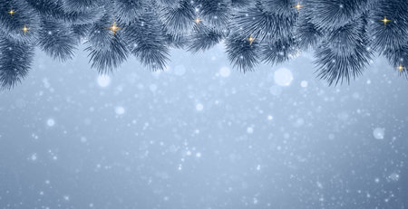 Christmas frame of gray pine tree branches isolated .の写真素材