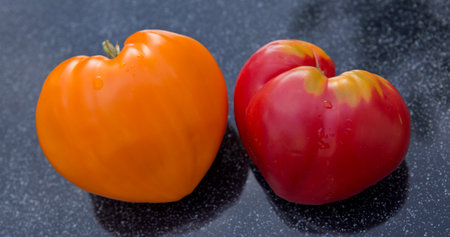 Two tomatoes in shape of heart on gray background.の写真素材