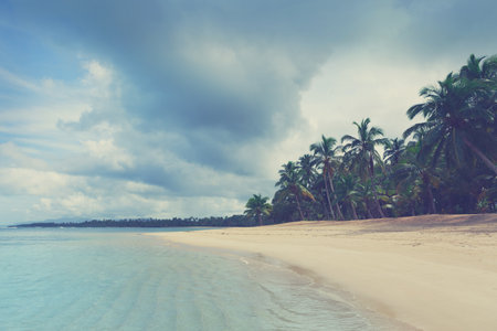 Caribbean sea and palm trees. Travel background.の写真素材