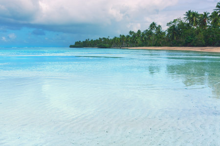Travel background with green palm trees on caribbean beach.の写真素材
