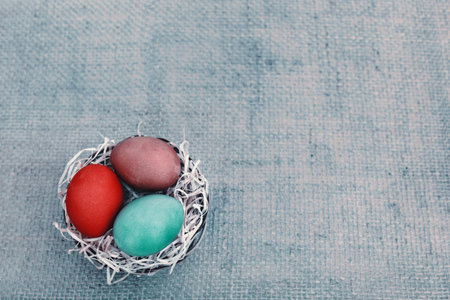 Easter eggs in the nest isolated on gray background.の写真素材