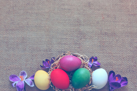 Easter eggs and purple crocuses. Festive decoration on cloth background.の写真素材