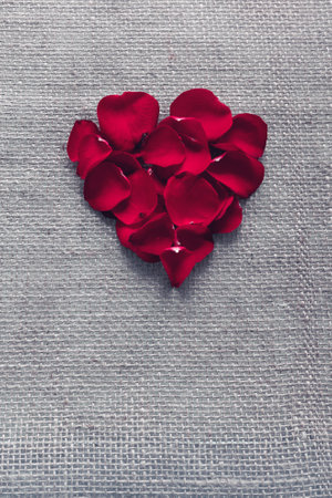 Red heart of roses petals isolated on a cloth background.の写真素材