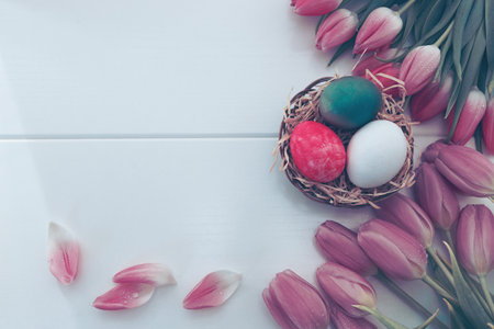Easter Eggs in the nest and spring tulips isolated on white wood Background.の写真素材