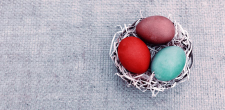 Easter eggs in the nest isolated on gray background.の写真素材