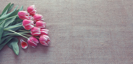 Bouquet of tulips on cloth Background. Spring greeting card.の写真素材