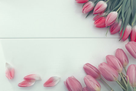 Spring tulips isolated on white wood Background. Celebrations background.の写真素材