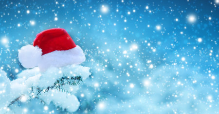 Merry Christmas background with red Santa hat in winter forest.の写真素材