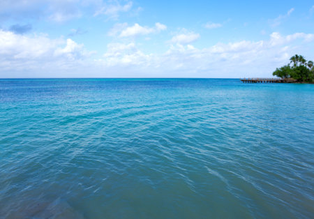 Beautiful tropical beach with blue sky and white clouds. Copy space of holiday business travel concept.の写真素材