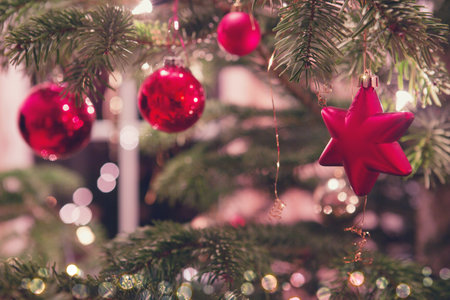 Christmas and New Years background with fir tree and red decoration.の写真素材