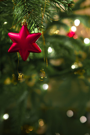 Close up of red Christmas star on fir tree. Bokeh garlands in the background.の写真素材