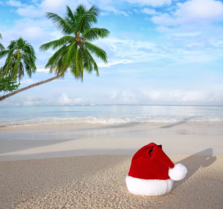 Christmas background with red Santa hat and palm tree branch on Caribbean beach.の写真素材
