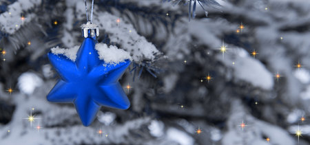 Blue star on snow covered pine branch in winter forest.の写真素材