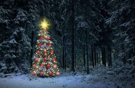 Christmas tree with lights in winter forest. Christmas card.の写真素材