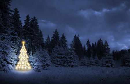 Christmas tree with lights in winter forest and gray sky. Christmas card.の写真素材