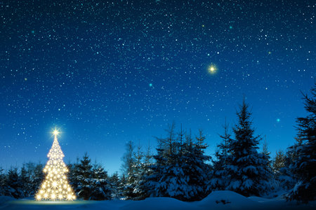 Christmas tree and stars sky background. Winter forest.の写真素材