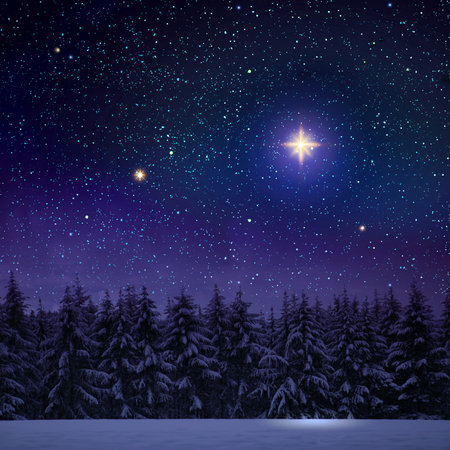 Merry Christmas and Happy New Year background with winter forest on snow.の写真素材
