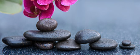 Spa stones and pink orchid flowers on the gray table background.の写真素材