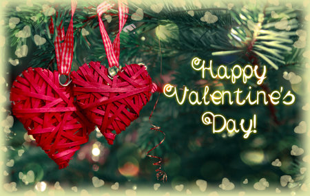 Two red Valentines Day Hearts hang on a fir tree branchの写真素材