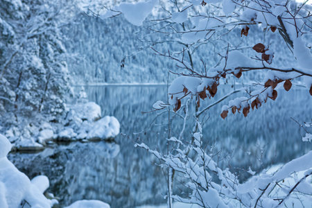 Mountain reflection in lake in winter with snow covered trees and blue skyの写真素材