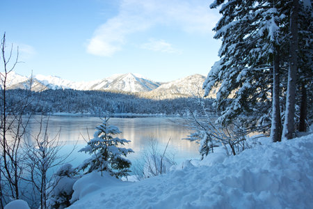 Forest lake in winter with snow covered treesの写真素材