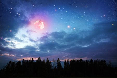 Stars sky background with forest and full moonの写真素材