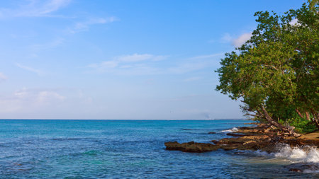 Nature landscape of tropical beach and green trees in sunny day.の写真素材