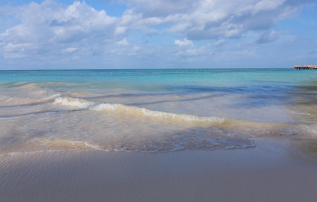 Tropical paradise beach with white sand and blue sky.の写真素材